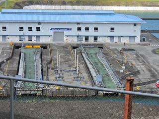 Filename=DSCN0566.JPG
Filesize=6728KiB
Dimensions=4608x3456
Date added=Jan 13, 2023 DSCN0566.JPG