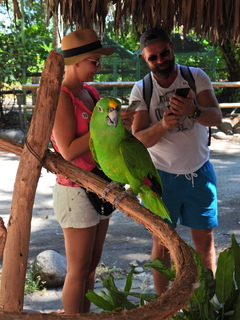 Filename=DSCN0612.JPG
Filesize=7115KiB
Dimensions=3456x4608
Date added=Jan 14, 2023 DSCN0612.JPG