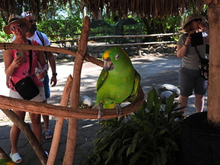 Filename=DSCN0614.JPG
Filesize=6747KiB
Dimensions=4608x3456
Date added=Jan 14, 2023 DSCN0614.JPG