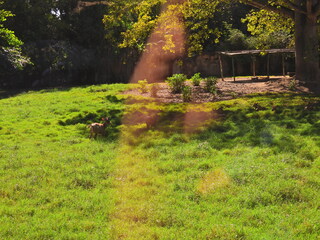 Filename=DSCN0618.JPG
Filesize=7061KiB
Dimensions=4608x3456
Date added=Jan 14, 2023 DSCN0618.JPG