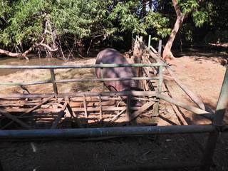 Filename=DSCN0621.JPG
Filesize=7032KiB
Dimensions=4608x3456
Date added=Jan 14, 2023 DSCN0621.JPG