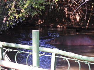 Filename=DSCN0627.JPG
Filesize=7109KiB
Dimensions=4608x3456
Date added=Jan 14, 2023 DSCN0627.JPG