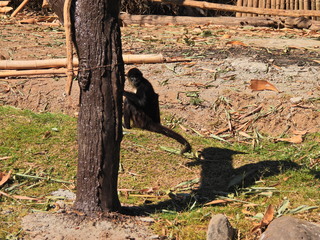 Filename=DSCN0629.JPG
Filesize=7538KiB
Dimensions=4608x3456
Date added=Jan 14, 2023 DSCN0629.JPG