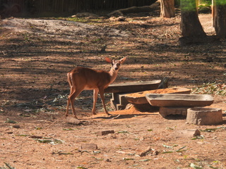 Filename=DSCN0635.JPG
Filesize=7231KiB
Dimensions=4608x3456
Date added=Jan 14, 2023 DSCN0635.JPG