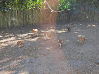 Filename=DSCN0651.JPG
Filesize=7166KiB
Dimensions=4608x3456
Date added=Jan 14, 2023 DSCN0651.JPG