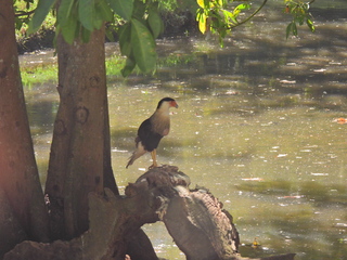 Filename=DSCN0654.JPG
Filesize=6909KiB
Dimensions=4608x3456
Date added=Jan 14, 2023 DSCN0654.JPG