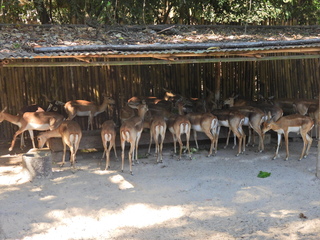 Filename=DSCN0661.JPG
Filesize=6637KiB
Dimensions=4608x3456
Date added=Jan 14, 2023 DSCN0661.JPG