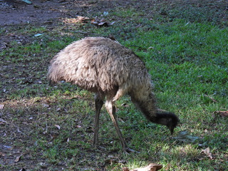 Filename=DSCN0669.JPG
Filesize=7200KiB
Dimensions=4608x3456
Date added=Jan 14, 2023 DSCN0669.JPG