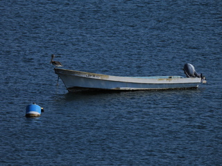 Filename=DSCN0705.JPG
Filesize=6808KiB
Dimensions=4608x3456
Date added=Jan 16, 2023 DSCN0705.JPG