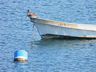 Filename=DSCN0706.JPG
Filesize=7023KiB
Dimensions=4608x3456
Date added=Jan 16, 2023 DSCN0706.JPG