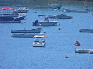 Filename=DSCN0745.JPG
Filesize=6829KiB
Dimensions=4608x3456
Date added=Jan 16, 2023 DSCN0745.JPG