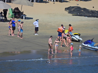 Filename=DSCN0779.JPG
Filesize=6799KiB
Dimensions=4608x3456
Date added=Jan 16, 2023 DSCN0779.JPG