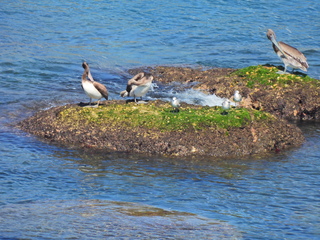 Filename=DSCN0781.JPG
Filesize=7223KiB
Dimensions=4608x3456
Date added=Jan 16, 2023 DSCN0781.JPG