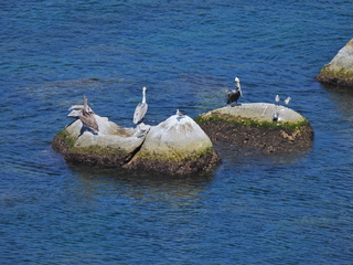 Filename=DSCN0788.JPG
Filesize=6907KiB
Dimensions=4608x3456
Date added=Jan 16, 2023 DSCN0788.JPG