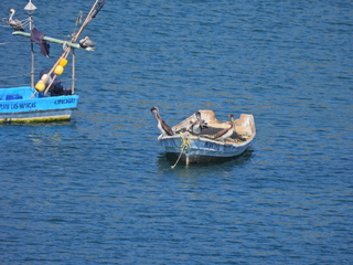 Filename=DSCN0794.JPG
Filesize=6720KiB
Dimensions=4608x3456
Date added=Jan 16, 2023 DSCN0794.JPG