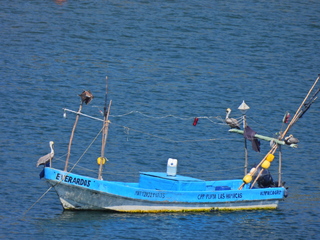 Filename=DSCN0795.JPG
Filesize=6827KiB
Dimensions=4608x3456
Date added=Jan 16, 2023 DSCN0795.JPG