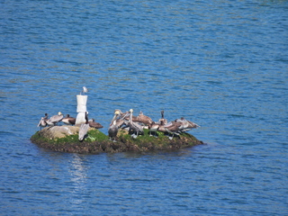 Filename=DSCN0797.JPG
Filesize=6775KiB
Dimensions=4608x3456
Date added=Jan 16, 2023 DSCN0797.JPG