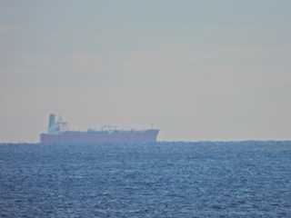 Filename=DSCN0896.JPG
Filesize=5832KiB
Dimensions=4608x3456
Date added=Jan 17, 2023 DSCN0896.JPG