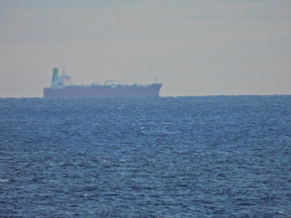 Filename=DSCN0897.JPG
Filesize=6297KiB
Dimensions=4608x3456
Date added=Jan 17, 2023 DSCN0897.JPG