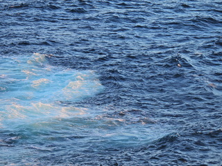 Filename=DSCN0924.JPG
Filesize=7011KiB
Dimensions=4608x3456
Date added=Jan 17, 2023 DSCN0924.JPG