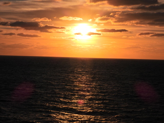 Filename=DSCN0929.JPG
Filesize=7038KiB
Dimensions=4608x3456
Date added=Jan 17, 2023 DSCN0929.JPG