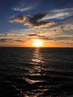 Filename=DSCN0934.JPG
Filesize=7152KiB
Dimensions=3456x4608
Date added=Jan 17, 2023 DSCN0934.JPG