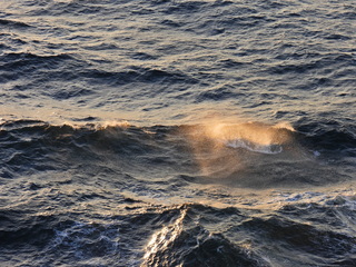 Filename=DSCN0940.JPG
Filesize=7426KiB
Dimensions=4608x3456
Date added=Jan 17, 2023 DSCN0940.JPG