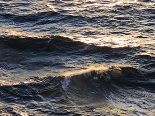 Filename=DSCN0941.JPG
Filesize=6732KiB
Dimensions=4608x3456
Date added=Jan 17, 2023 DSCN0941.JPG