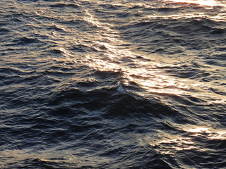 Filename=DSCN0943.JPG
Filesize=7097KiB
Dimensions=4608x3456
Date added=Jan 17, 2023 DSCN0943.JPG