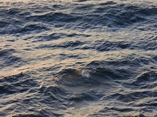 Filename=DSCN0946.JPG
Filesize=7251KiB
Dimensions=4608x3456
Date added=Jan 17, 2023 DSCN0946.JPG