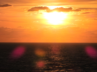 Filename=DSCN0947.JPG
Filesize=6345KiB
Dimensions=4608x3456
Date added=Jan 17, 2023 DSCN0947.JPG