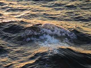 Filename=DSCN0972.JPG
Filesize=7270KiB
Dimensions=4608x3456
Date added=Jan 17, 2023 DSCN0972.JPG