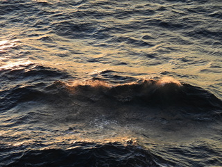 Filename=DSCN0973.JPG
Filesize=7186KiB
Dimensions=4608x3456
Date added=Jan 17, 2023 DSCN0973.JPG