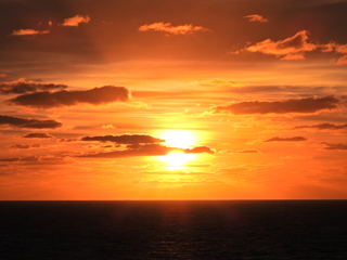 Filename=DSCN0986.JPG
Filesize=6184KiB
Dimensions=4608x3456
Date added=Jan 17, 2023 DSCN0986.JPG