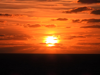 Filename=DSCN1003.JPG
Filesize=6007KiB
Dimensions=4608x3456
Date added=Jan 17, 2023 DSCN1003.JPG