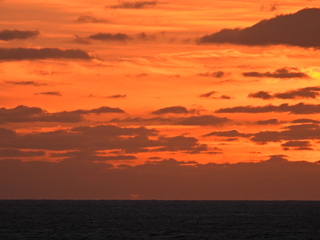 Filename=DSCN1047.JPG
Filesize=6432KiB
Dimensions=4608x3456
Date added=Jan 17, 2023 DSCN1047.JPG