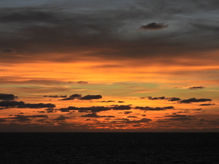 Filename=DSCN1055.JPG
Filesize=6478KiB
Dimensions=4608x3456
Date added=Jan 17, 2023 DSCN1055.JPG