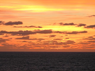 Filename=DSCN1062.JPG
Filesize=6715KiB
Dimensions=4608x3456
Date added=Jan 17, 2023 DSCN1062.JPG