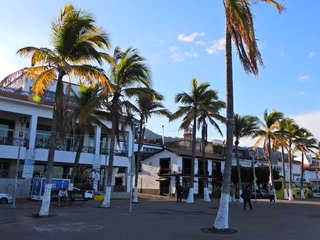 Filename=DSCN1078.JPG
Filesize=7433KiB
Dimensions=4608x3456
Date added=Jan 18, 2023 DSCN1078.JPG