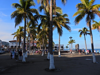 Filename=DSCN1089.JPG
Filesize=6822KiB
Dimensions=4608x3456
Date added=Jan 18, 2023 DSCN1089.JPG