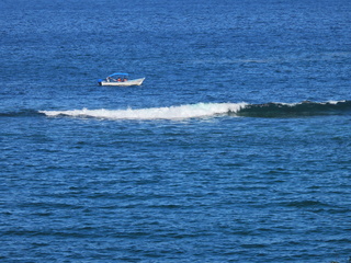 Filename=DSCN1116.JPG
Filesize=7445KiB
Dimensions=4608x3456
Date added=Jan 18, 2023 DSCN1116.JPG