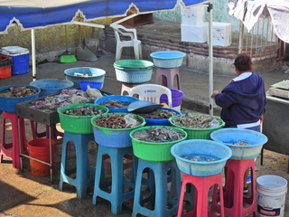 Filename=DSCN1173.JPG
Filesize=7301KiB
Dimensions=4608x3456
Date added=Jan 19, 2023 DSCN1173.JPG