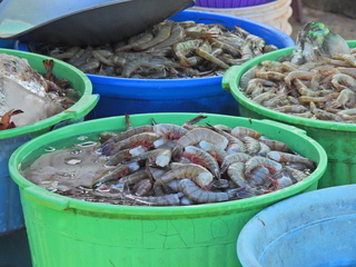 Filename=DSCN1176.JPG
Filesize=6802KiB
Dimensions=4608x3456
Date added=Jan 19, 2023 DSCN1176.JPG