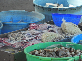 Filename=DSCN1179.JPG
Filesize=7635KiB
Dimensions=4608x3456
Date added=Jan 19, 2023 DSCN1179.JPG