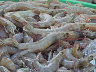 Filename=DSCN1183.JPG
Filesize=7607KiB
Dimensions=4608x3456
Date added=Jan 19, 2023 DSCN1183.JPG