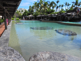 Filename=DSCN1221.JPG
Filesize=6717KiB
Dimensions=4608x3456
Date added=Jan 19, 2023 DSCN1221.JPG