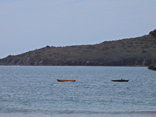 Filename=DSCN1229.JPG
Filesize=6168KiB
Dimensions=4608x3456
Date added=Jan 19, 2023 DSCN1229.JPG