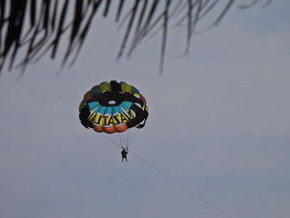 Filename=DSCN1248.JPG
Filesize=7192KiB
Dimensions=4608x3456
Date added=Jan 19, 2023 DSCN1248.JPG