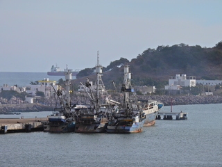 Filename=DSCN1271.JPG
Filesize=7229KiB
Dimensions=4608x3456
Date added=Jan 19, 2023 DSCN1271.JPG