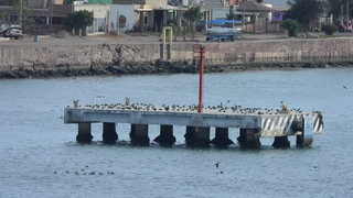 Filename=DSCN1298.JPG
Filesize=4019KiB
Dimensions=3840x2160
Date added=Jan 19, 2023 DSCN1298.JPG